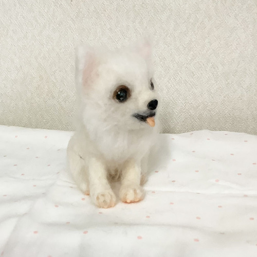 Felt Cocoart | チワックスのライムくん (＾ｰ^) まんまるおでこ