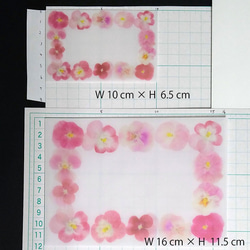 トレーシングペーパー　ミニ封筒と洋封筒(大)　「ビオラ」 4枚目の画像