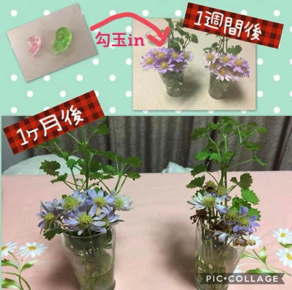 【華やかピンク】陰陽統合勾玉オルゴナイト(大) 10枚目の画像