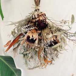 ネイティブドライフラワー 生花 切り花 ボタニカル  スワッグ ハンドメイド ネイティブドライフラワー 生花 切り花 ボタニカル スワッグ ハンドメイド