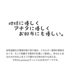 ワンランクあげる英国御用達『ティーコージー』しあわせのブタさん(import)　フルーツパラダイス 5枚目の画像