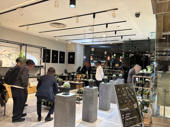 モルタル展示台（収納扉付き） 収納扉付き