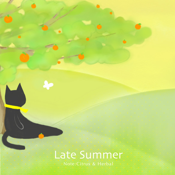 アロマミスト 夏の終わり：柑橘＆カモミールなど 5種の精油ブレンド ｜シトラス ハーバル 1枚目の画像