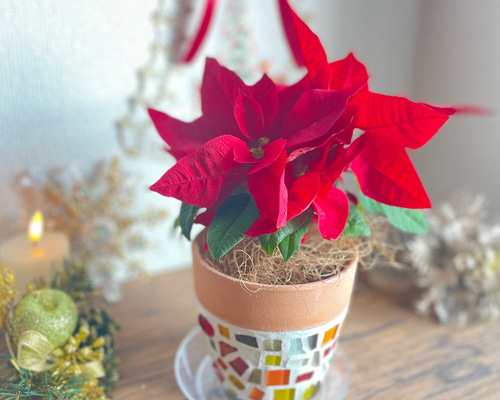 58bf4327e8c4471673289f3d638109