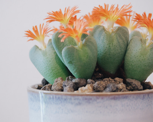 a2592662f852a3ab1849898a1a637e