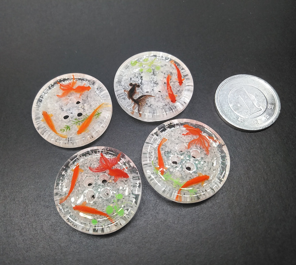 手描き　金魚　アクアリウム　ボタン　4個セット 3枚目の画像