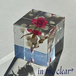 植物標本　ピンクの薔薇とかすみ草　４センチキューブ 10枚目の画像