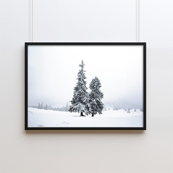 【冬 景色 アートポスター】雪 木 風景写真 インテリア雑貨 クリスマスツリー 北欧 飾り モダンアート 壁掛け 6枚目の画像