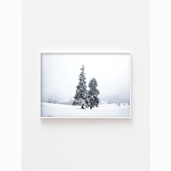 【冬 景色 アートポスター】雪 木 風景写真 インテリア雑貨 クリスマスツリー 北欧 飾り モダンアート 壁掛け 8枚目の画像