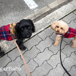 犬服 フリース カジュアル おしゃれ 可愛い レッド タータン チェック柄 タンクトップ 4枚目の画像