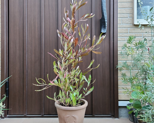 90778571084acfc6f746c802ac3940