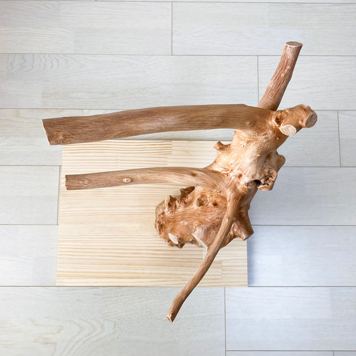 木工工芸品 流木 天然木