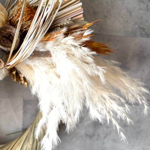 ドライフラワーしめ飾り1 バンクシアとパンパスのしめ縄飾り お正月の