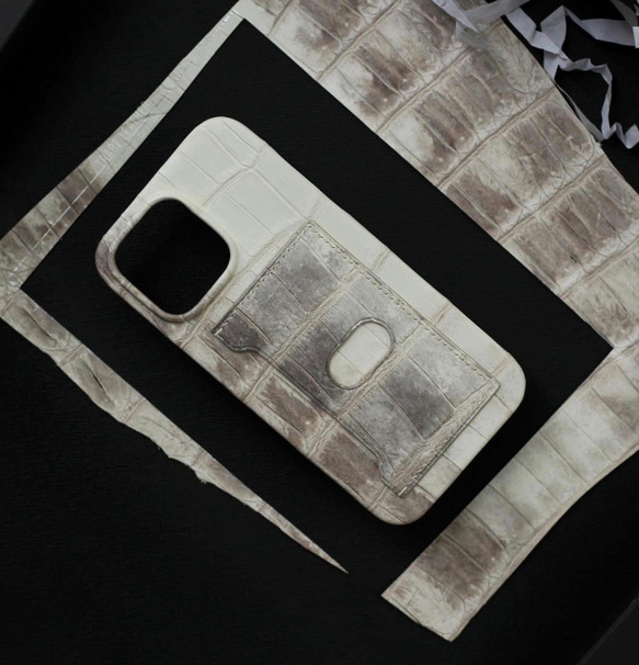 高級ヒマラヤタロコダイル使用iPhoneケース　iPhone各種対応　注文生産　 1枚目の画像