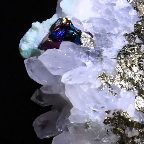 非加熱ブルーサファイア グラスボディ 標本 走り回っ 