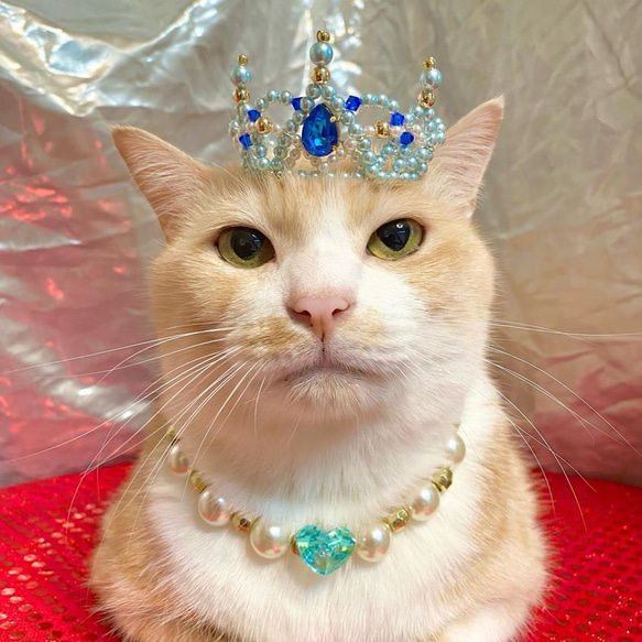 ローズティアラ　42サイズ　ねこちゃんニット　猫　ビジュー　リボン ローズティアラ 42サイズ ねこちゃんニット 猫 ビジュー リボン