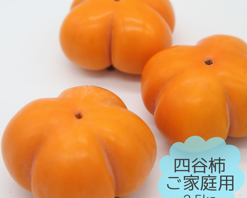富山の四谷柿（よたんがき）ご家庭用2.5kg前後 果物（フルーツ） 農家