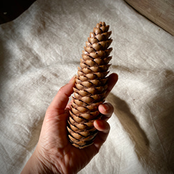 bf9bea8767da4e3e5d702665c155bb