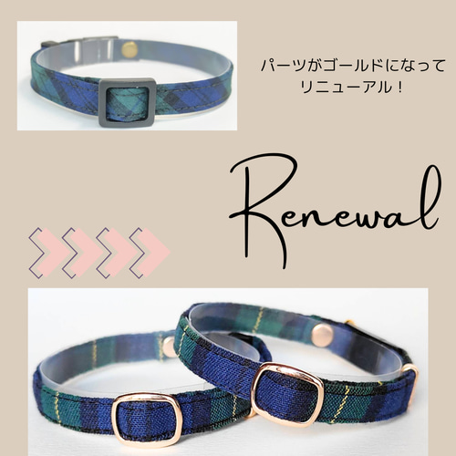 タータンチェックグリーン オプション迷子札 猫 首輪 安全 セーフティ  