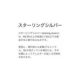 〈送料無料〉＊天然石ブルーサファイアSV925爪留プチネックレス＊オーダーメイド 3枚目の画像