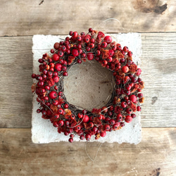 ノイバラの実とサンキライのリース S リース JiLL 通販 16900588