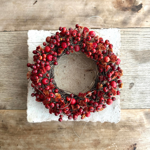 ノイバラの実とサンキライのリース S リース JiLL 通販 16900588