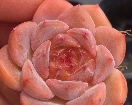 3b9f9848636f8851f5a8c64ea8b06f