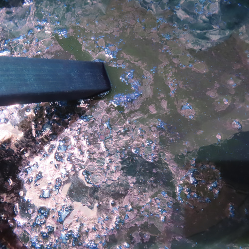 藍染 しめ縄飾り 暖簾 その他インテリア雑貨 すずなが 通販 16901137