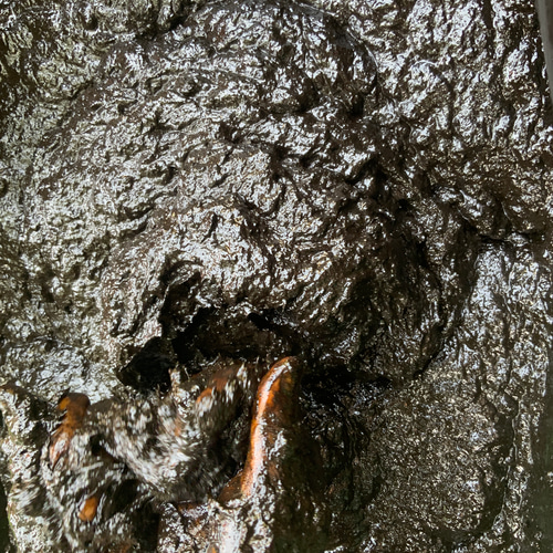 藍染 しめ縄飾り 暖簾 その他インテリア雑貨 すずなが 通販 16901137