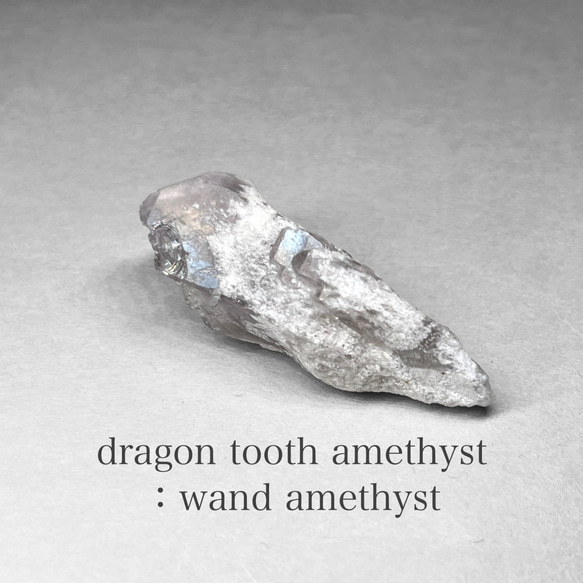 dragon tooth ( wand ) amethyst / ブラジル産ドラゴントゥース