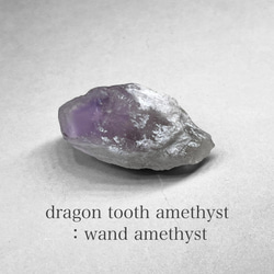 dragon tooth ( wand ) amethyst / ブラジル産ドラゴントゥース( ワンド )アメジストQ 1枚目の画像