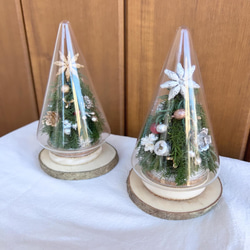 ガラスドームのクリスマスツリー　ナチュラルクリスマス　クリスマスツリー　北欧　置き型 6枚目の画像