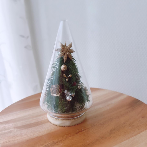 毎年飾れる】クリスマス ガラスドームのクリスマスツリー ナチュラル