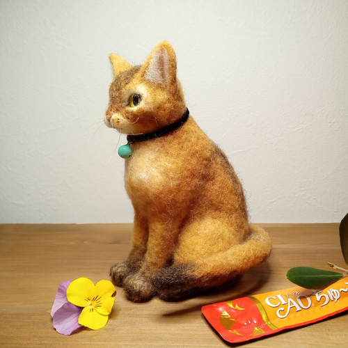 羊毛フェルト 猫 おっとりだけど遊び心満点のアビシニアンの子猫