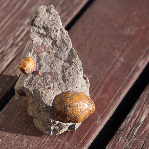 ゴビ石−1180 眼石鉱物標本『親子』パワーストーン