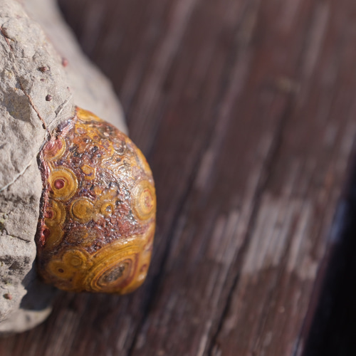 ゴビ石−1180 眼石 鉱物標本 『親子』 パワーストーン ゴビ石−1180 眼石