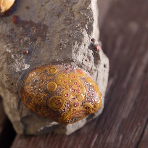 ゴビ石−1180 眼石 鉱物標本 『親子』 パワーストーン 【公式通販】