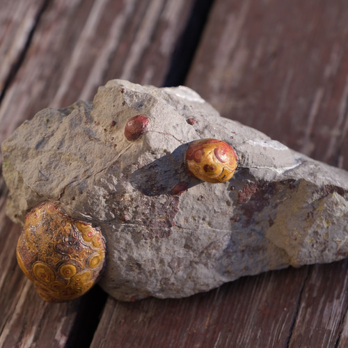 ゴビ石−1180 眼石　鉱物標本　『親子』　パワーストーン ゴビ石−1180 眼石 鉱物標本 『親子』 パワーストーン 【公式通販】