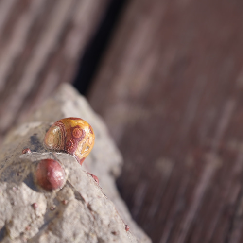 ゴビ石−1180 眼石鉱物標本『親子』パワーストーン