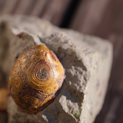 ゴビ石−1180 眼石 鉱物標本 『親子』 パワーストーン 【公式通販】