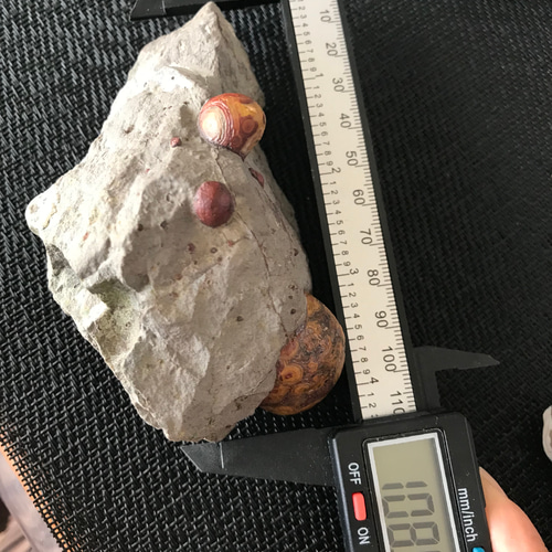 ゴビ石−1180 眼石 鉱物標本 『親子』 パワーストーン 【公式通販】