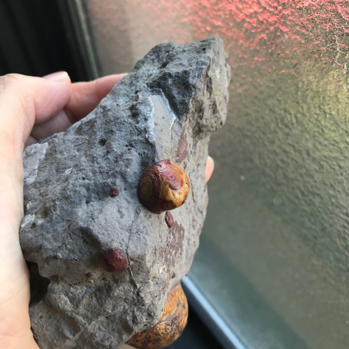 ゴビ石−1180 眼石鉱物標本『親子』パワーストーン