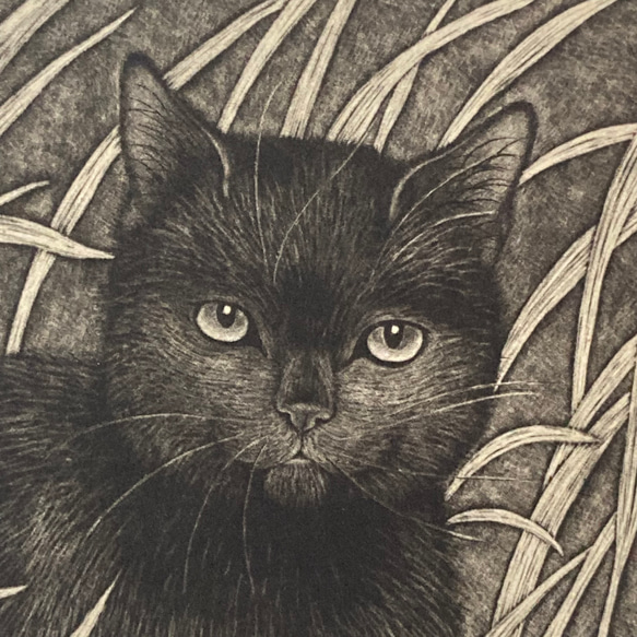 銅版画　14枚まとめ売り 送料無料】銅版画「さわさわ」シート 版画 佐藤恵美 通販 16902432