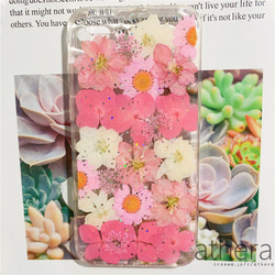 ＊本物のお花＊ 植物図鑑 押し花スマホケース iPhone15 14 13  AQUOS Xperia Galaxy 3枚目の画像