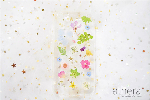 ＊本物のお花＊ 植物図鑑 押し花スマホケース iPhone15 14 13  AQUOS Xperia Galaxy 3枚目の画像