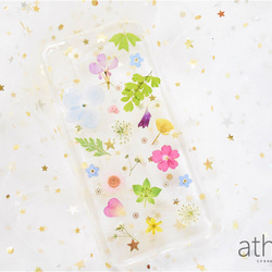 ＊本物のお花＊ 植物図鑑 押し花スマホケース iPhone15 14 13  AQUOS Xperia Galaxy 5枚目の画像