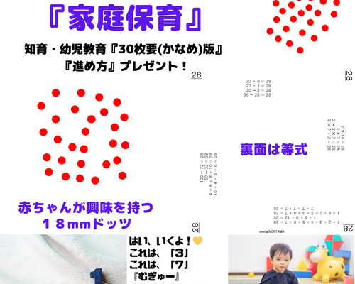 知育玩具0歳～6歳】 家庭保育ドッツカード30 (^^♪ おもちゃ・人形