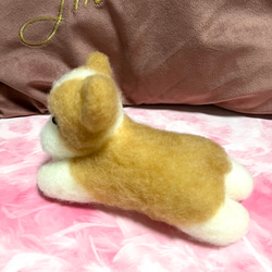 限定品❤︎♡ハンドメイド　羊毛フェルト　コーギー♡羊毛フェルト置物❤︎可愛い❤︎愛犬 9枚目の画像