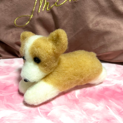 限定品❤︎♡ハンドメイド　羊毛フェルト　コーギー♡羊毛フェルト置物❤︎可愛い❤︎愛犬 10枚目の画像