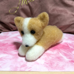 限定品❤︎♡ハンドメイド　羊毛フェルト　コーギー♡羊毛フェルト置物❤︎可愛い❤︎愛犬 1枚目の画像